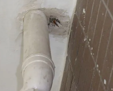 藁城漏水检测哪家好